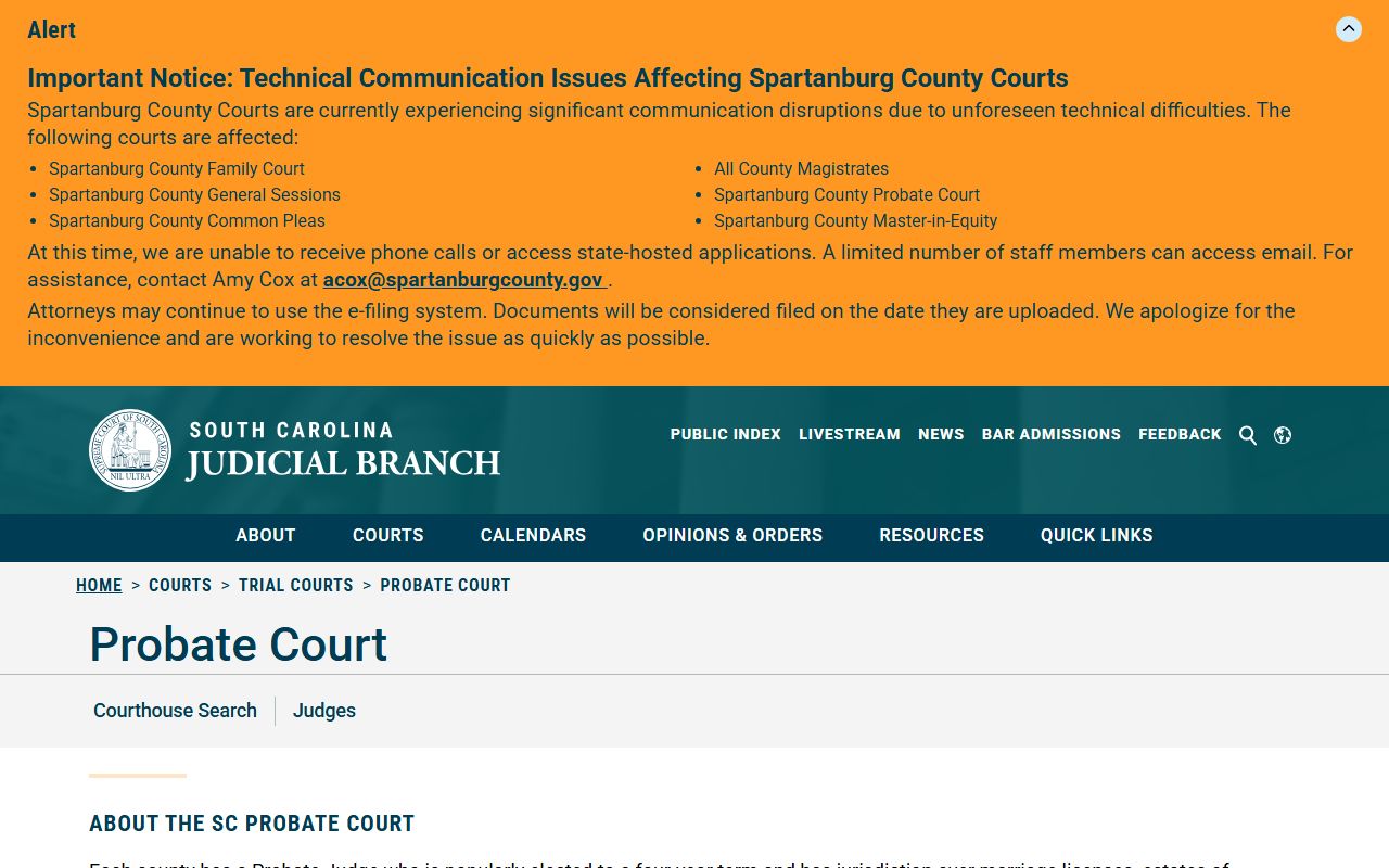 Colleton County Circuit Court treatment and probate court records context