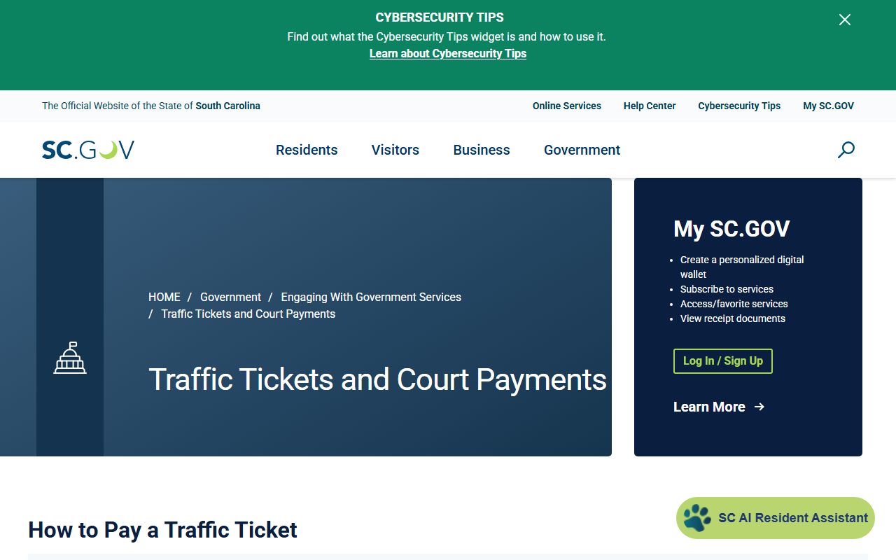 Colleton County traffic court records SC.gov traffic payment guide